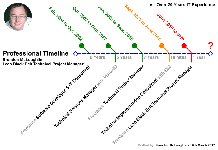 Professional Timeline