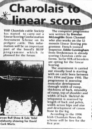 1996 - "Charolais to linear score" (Pedigree News / The Farmers Journal)
